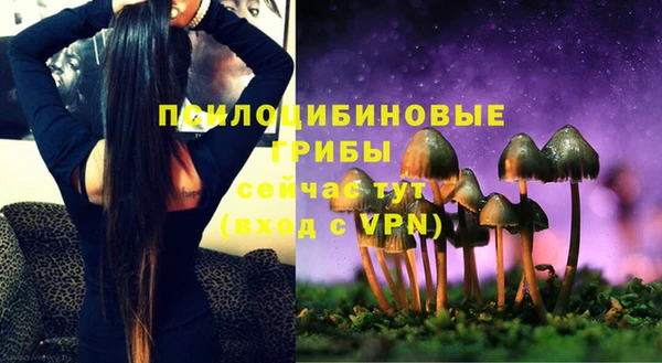 не бодяженный Алексин