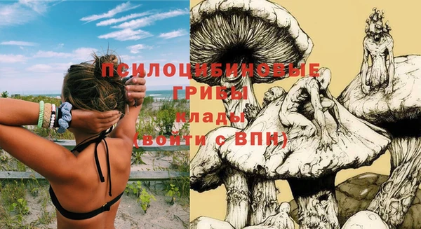 не бодяженный Алексин