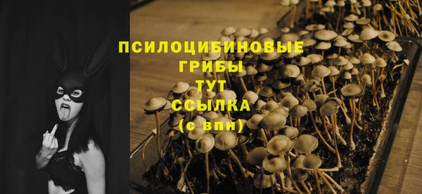 гашик Нея
