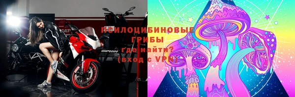 не бодяженный Алексин